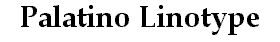 Palatino Linotype bold sample